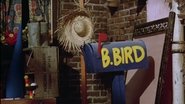 Follow That Bird wallpaper 