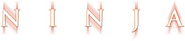 Logo of Ninja image size 1250x278