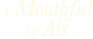Logo of A Mouthful of Air image size 3123x1294