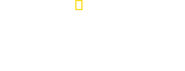 Logo of Witness to Disaster image size 3373x1299