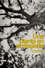 Una planta en el desierto