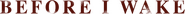 Logo of Before I Wake image size 1276x94