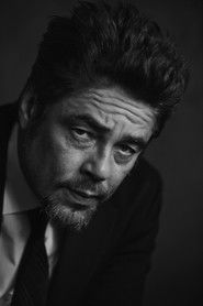 Photo of Benicio del Toro image size 1280x1920