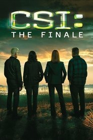 poster CSI: Immortality