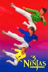 poster 3 Ninjas Kick Back