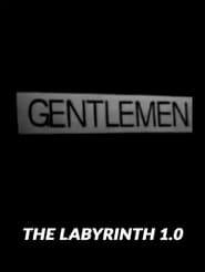 The Labyrinth 1.0