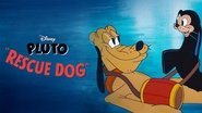 Pluto, Chien de secours wallpaper 