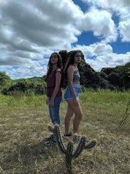 poster Oiticica do Bode