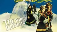Backdrop of The White Reindeer image size 1920x1080