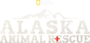 Logo of Alaska Animal Rescue image size 1428x676