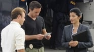 Hawaii 5-0 season 1 episode 7