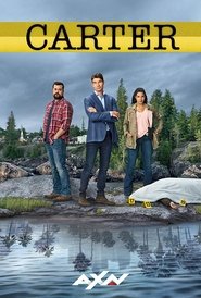 Poster of Carter image size 676x1000
