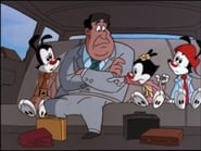 Les Animaniacs season 5 episode 13