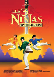 Voir film Ninja Kids : Les 3 Ninjas Contre-Attaquent en streaming