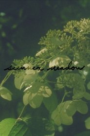 poster Summer Meadow