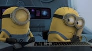 La Folie des Minions : Banana wallpaper 