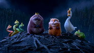 Jumpers wallpaper 