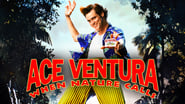 Ace Ventura en Afrique wallpaper 