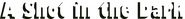 Logo of A Shot in the Dark image size 732x76