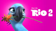 Rio 2 wallpaper 