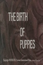 poster The Birth of Puppies