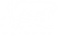 Logo of Spirit Untamed image size 410x253
