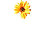 Logo of Hope Springs image size 624x367