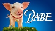 Backdrop of Babe image size 1920x1080