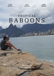 Tropical baboons