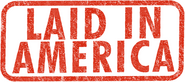 Logo of Laid in America image size 845x374