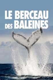 poster The Cradle of Whales