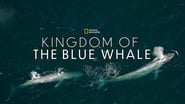 Le royaume de la baleine bleue wallpaper 