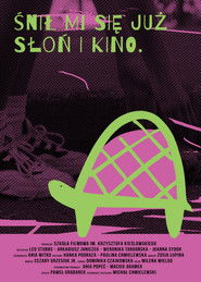 Ravik the Steppe Turtle