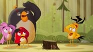 Angry Birds : Un été déjanté  