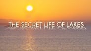 La Vie secrète des lacs  
