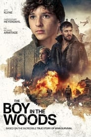 Poster of The Boy in the Woods image size 900x1350