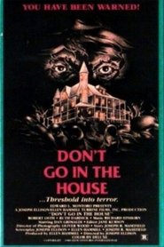 Poster of Don't Go in the House image size 1022x1536