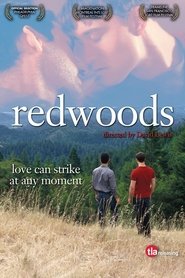 Poster of Redwoods image size 1000x1500