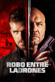 Robo entre Ladrones Película Completa HD 720p [MEGA] [LATINO] 2022