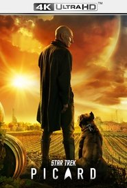 Poster of Star Trek: Picard image size 839x1236