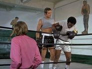 Uno strano incontro di boxe