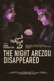 The Night Arezou Disappeared