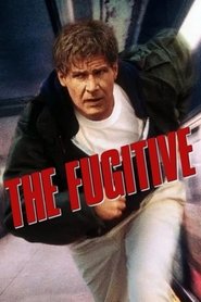 Poster of The Fugitive image size 500x750