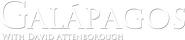 Logo of Galapagos 3D with David Attenborough image size 1693x369