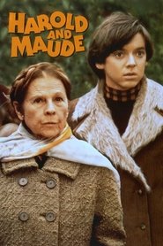 Poster of Harold and Maude image size 800x1200