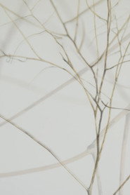 The Brambles poster