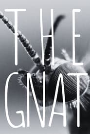 The Gnat 2024 123movies