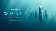 Backdrop of Whale with Steve Backshall image size 1920x1080