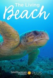 Poster of The Living Beach image size 680x1000
