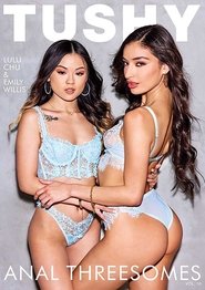 Poster of Anal Threesomes 10 image size 800x1132